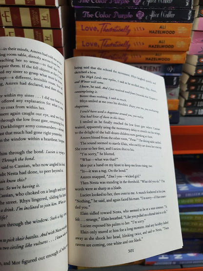 A Court of Wings and Ruin by Sarah J. Maas (Book 3 of ACOTAR series)
