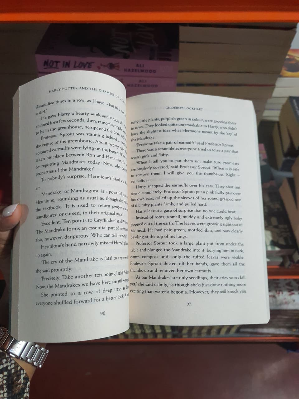 Harry Potter and the Chamber of Secrets by J. K. Rowling (Book 2 of the Harry Potter series)