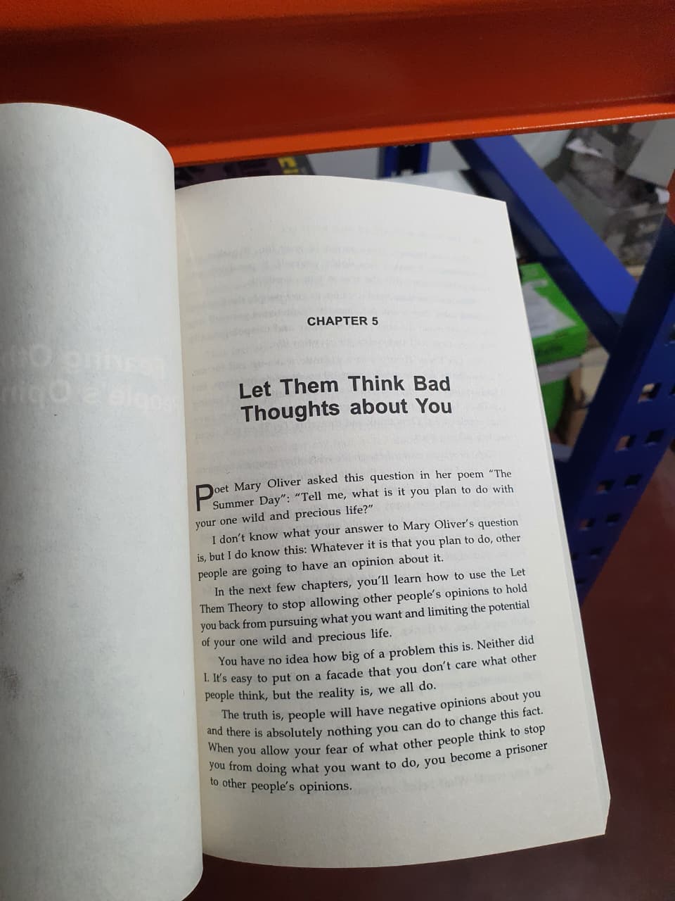 Let them theory by Mel Robbins