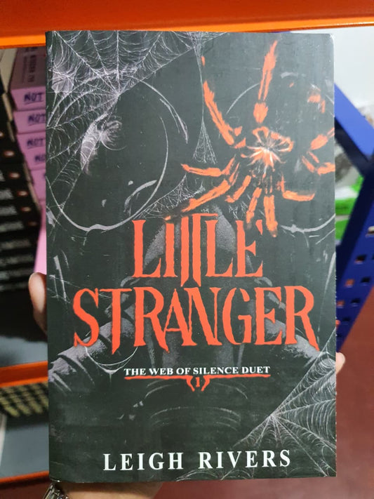 Little Stranger by Leigh Rivers (Book 2 of the Little Liar series)