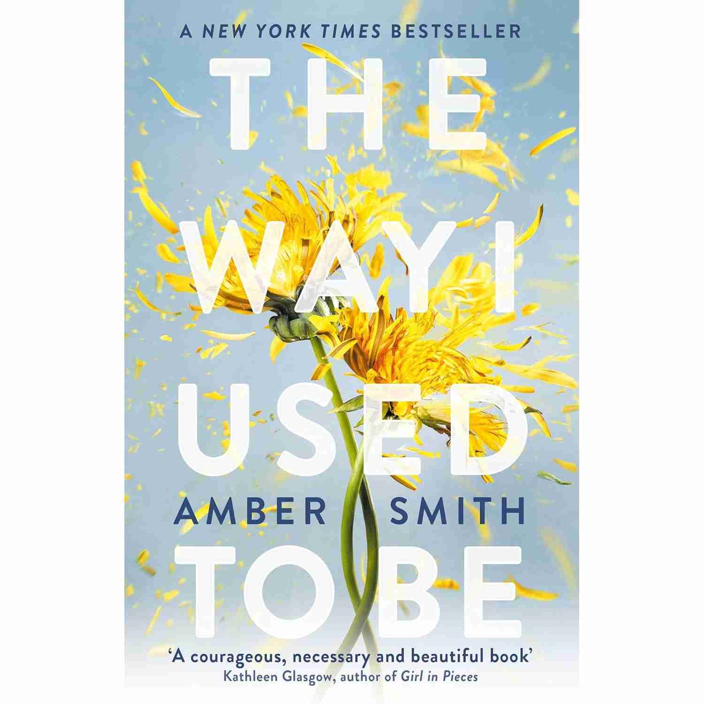 The Way I Used To Be By Amber Smith