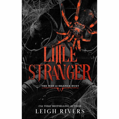 Little Stranger by Leigh Rivers (Book 2 of the Little Liar series)