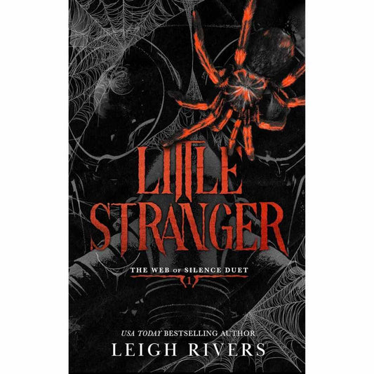 Little Stranger by Leigh Rivers (Book 2 of the Little Liar series)